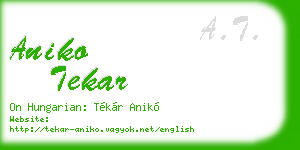 aniko tekar business card